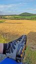 Felder .. Wiesen ... und TN 🚴‍♂️ 08'24