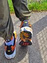 🐯 03'25 | Zwar noch in der Reifephase - aber man darf schon dran lecken 🤪