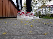 15.04.2019