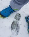 13.12.'19 der zweite Schnee, das erste mal mit Terrex mid