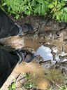 Mudplay 1. Runde...