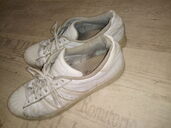 Perfekte Müll Superstars