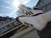 Sniff the sneaks....