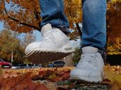 Herbst