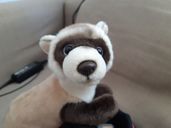 Mit Schlappöhrchen und Knopfaugen....