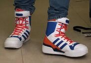 Adidas JS Snow innen