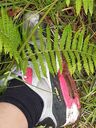 Einsau-Praxis: Levada-Wanderung auf Madeira. Rutschiger, rotbrauner Matsch und die Sneax mittendrin.