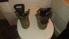 oder sie werden zwischendurch mal wieder richtig im Schlamm vergewaltigt