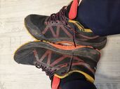 So Geile einfach neben die Straße geworfen