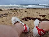 Grüße von Barbados